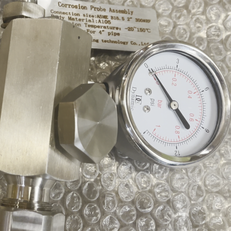 Corrosion Probe Flange Connection 2 corrosion probe