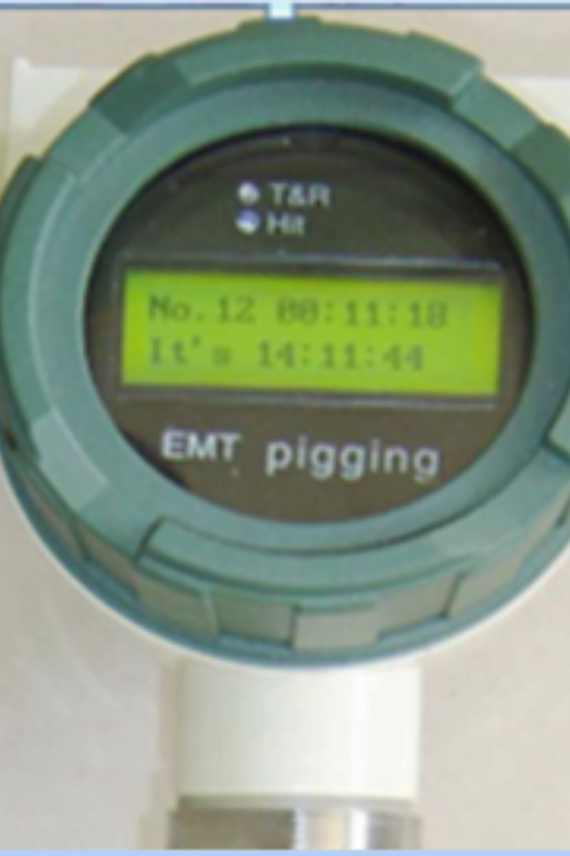 Digital Pig Indicator 2 pig indicator2